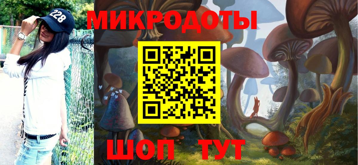 Псилоцибиновые грибы мицелий Сургут